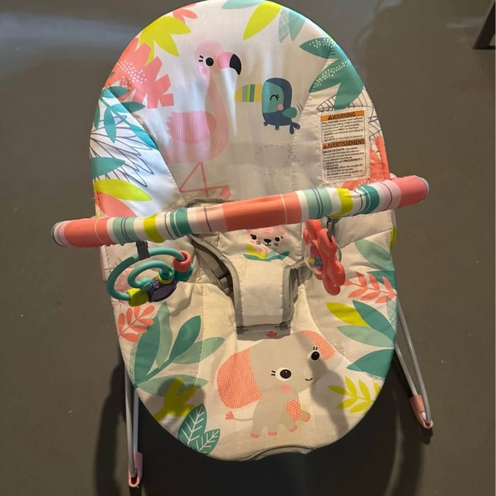 Bright Starts Flamingo Vibes Baby Bouncer